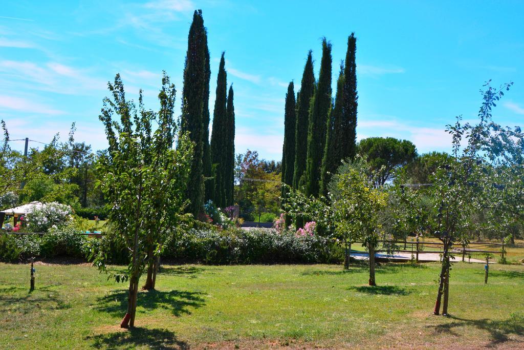 Agriturismo L'Aquilone Magliano in Toscana Zewnętrze zdjęcie