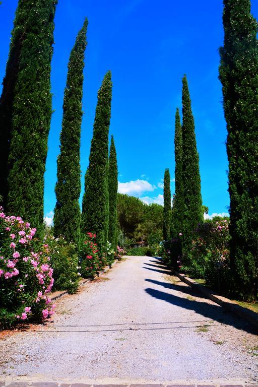 Agriturismo L'Aquilone Magliano in Toscana Zewnętrze zdjęcie