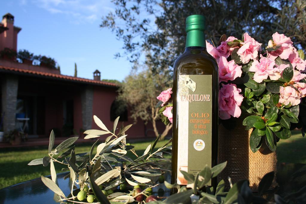 Agriturismo L'Aquilone Magliano in Toscana Zewnętrze zdjęcie