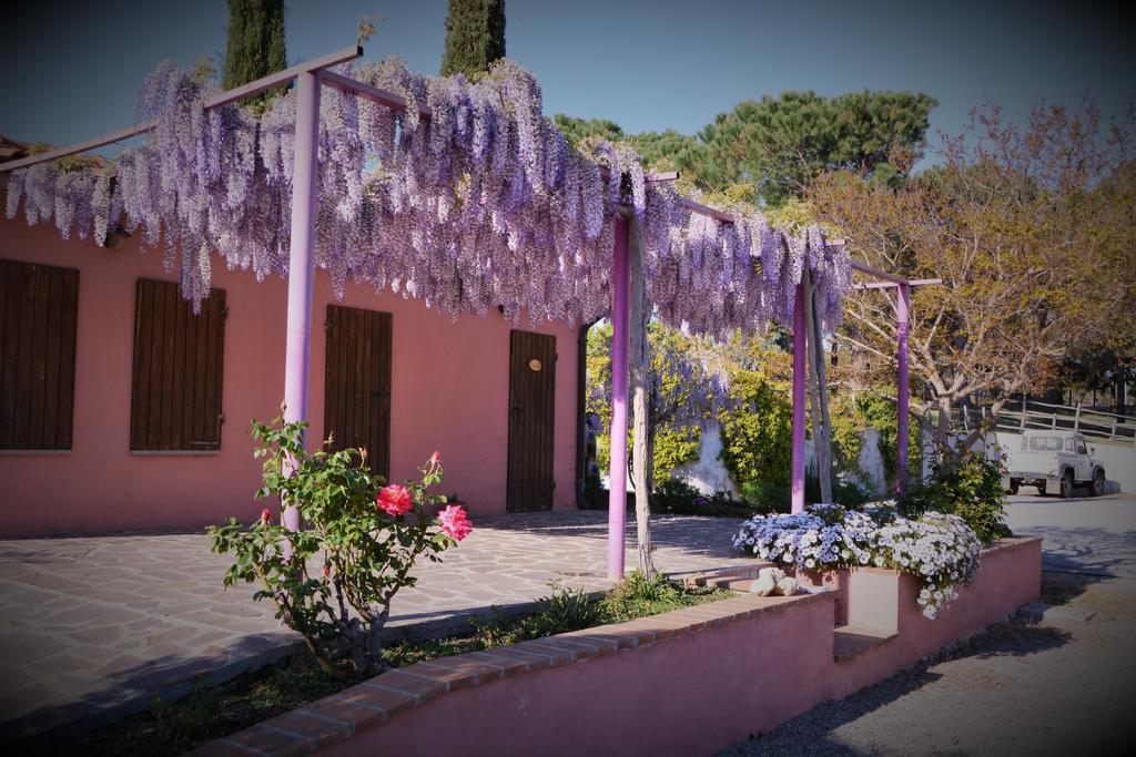 Agriturismo L'Aquilone Magliano in Toscana Zewnętrze zdjęcie