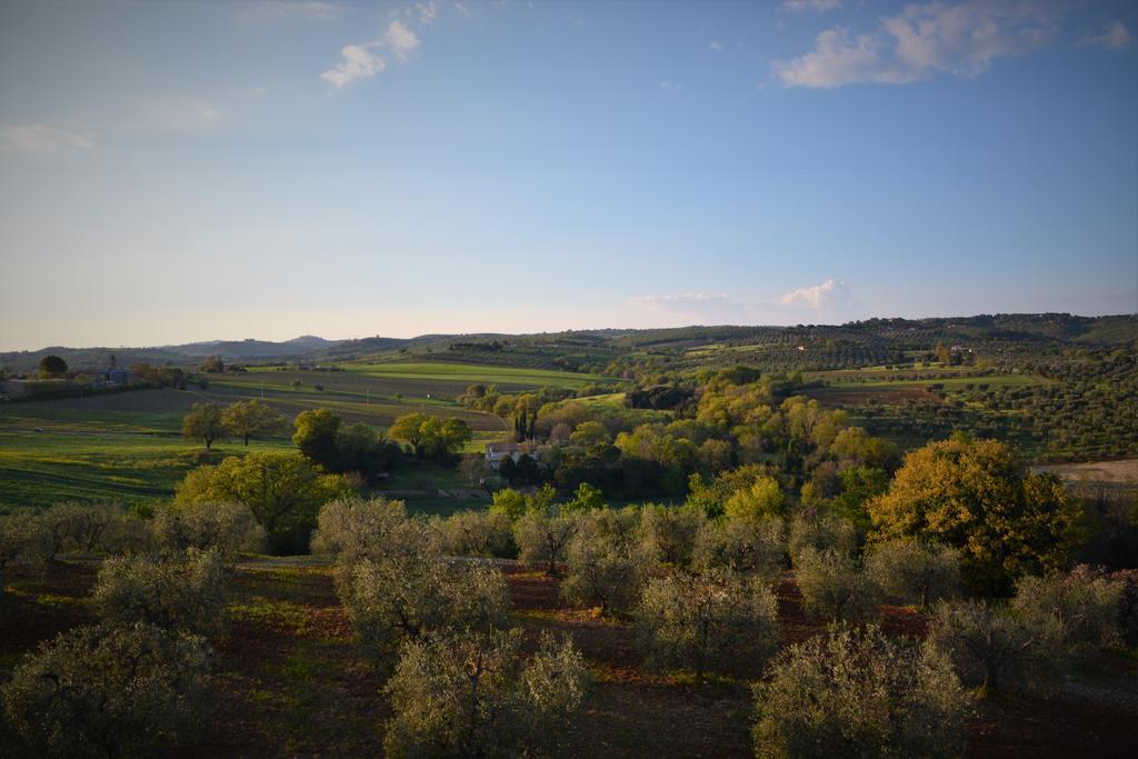 Agriturismo L'Aquilone Magliano in Toscana Zewnętrze zdjęcie