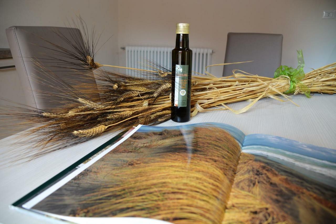 Agriturismo L'Aquilone Magliano in Toscana Zewnętrze zdjęcie